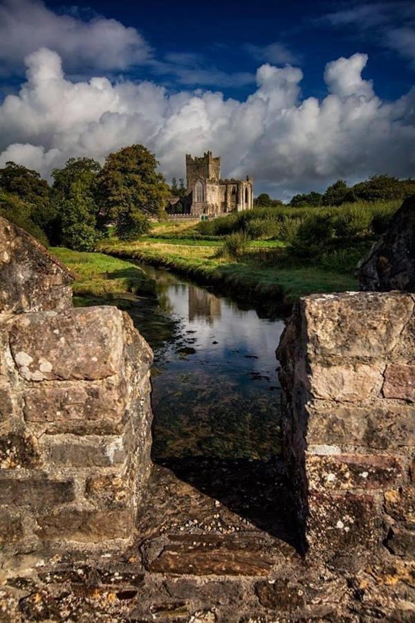 Ballyhack By The Sea Arthurstown Exterior foto