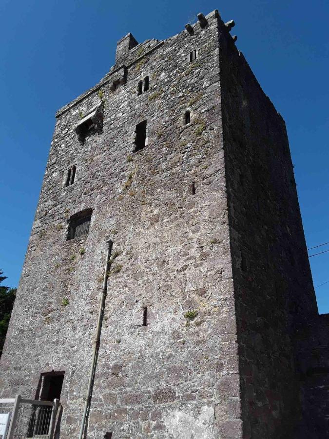 Ballyhack By The Sea Arthurstown Exterior foto