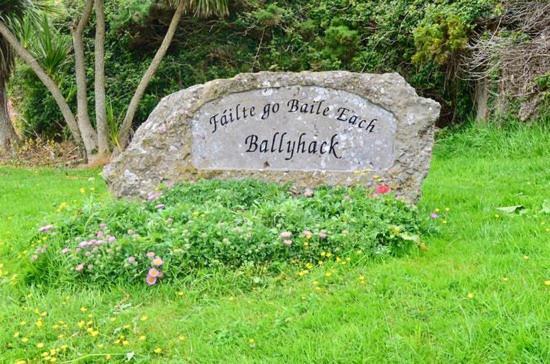 Ballyhack By The Sea Arthurstown Exterior foto